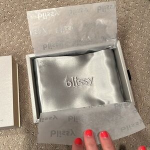 NEW Blissy Silver Pillowcase KING